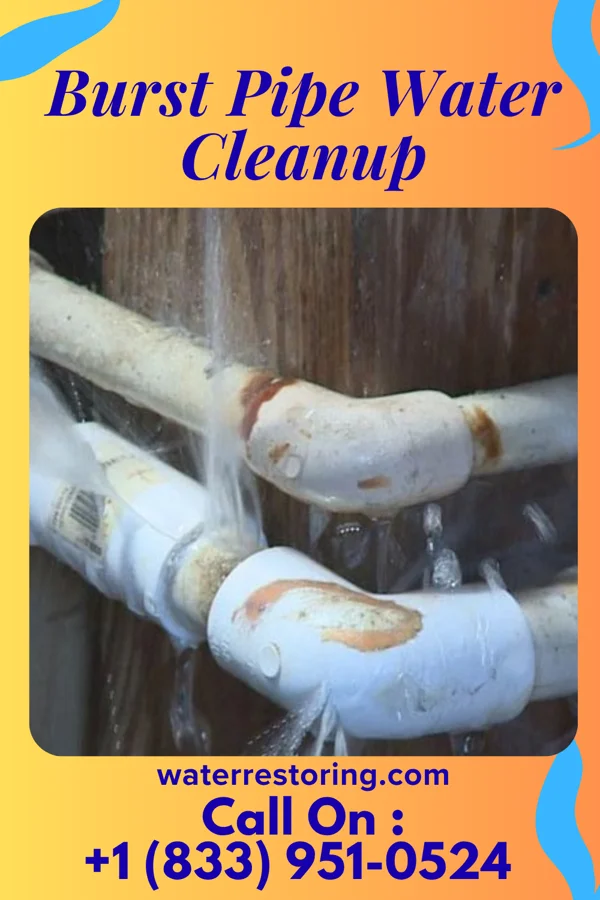 Burst Pipe Water Cleanup in Italy, TX