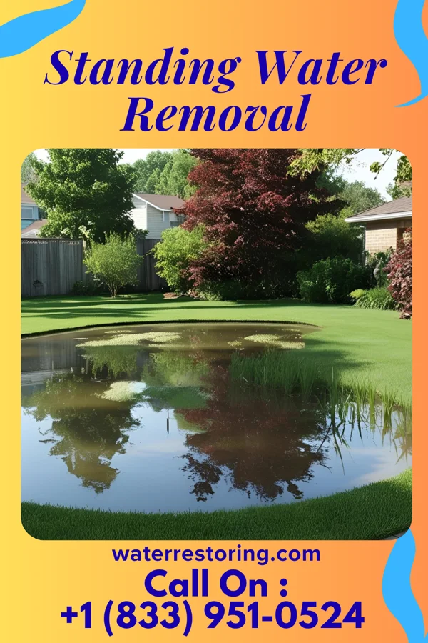 Standing Water Removal in Italy, TX